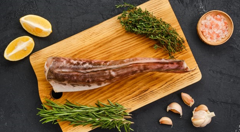 Tak Kalah dengan Salmon, Ikan Lele Kaya Nutrisi untuk MPASI
