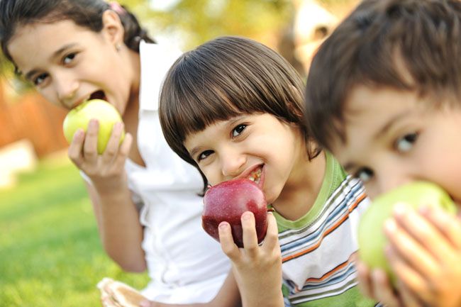 8 Pilihan Camilan Sehat untuk Anak Plus Manfaatnya