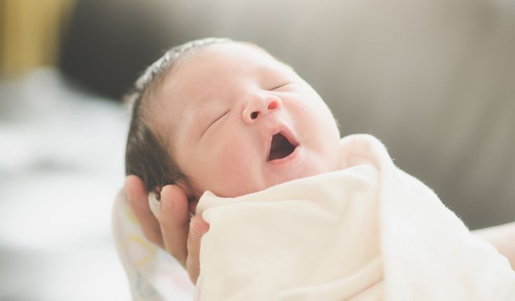Bayi Baru Lahir, Kenali Berbagai Perkembangannya