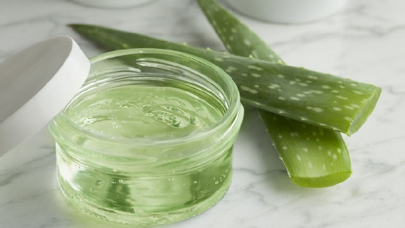 Manfaat Aloevera Pada Kulit Sikecil