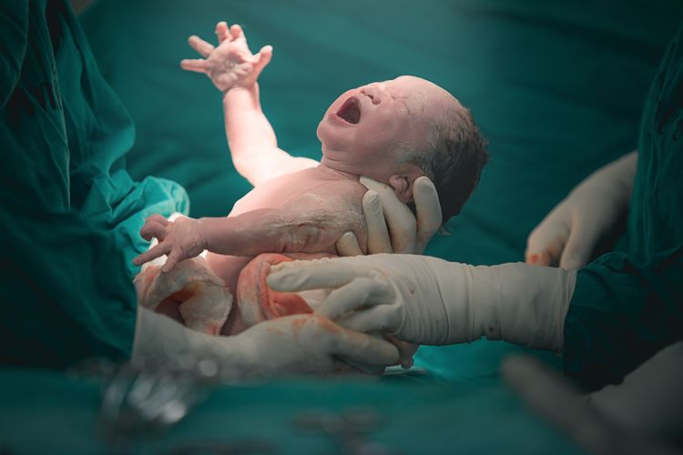 Vernix Caseosa atau Lemak Penyelimut Pada Bayi Baru Lahir