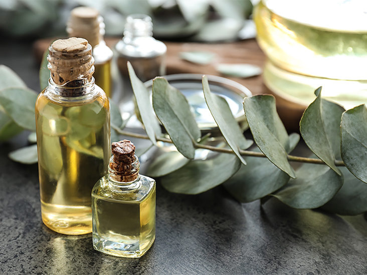 Manfaat Eucalyptus Untuk Kesehatan