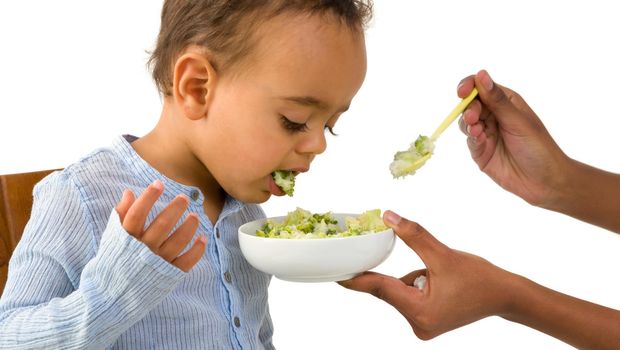 Tips Menyiasati Anak Yang Tidak Suka Makan Sayur