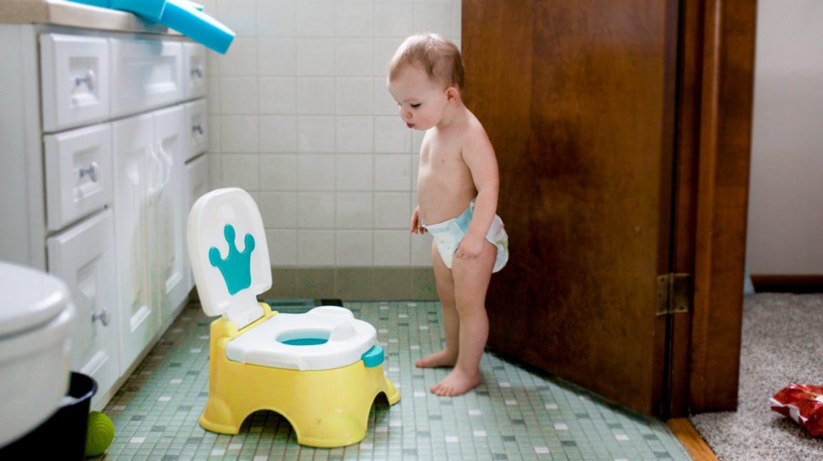 Kapankah Potty Training Diperkenalkan Kepada Si Kecil?