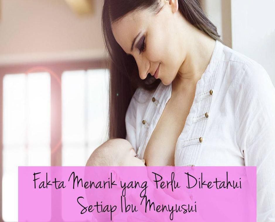 FAKTA MENARIK YANG PERLU DIKETAHUI SETIAP IBU MENYUSUI