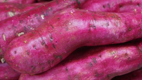 Mengapa Ubi Ungu Tepat Dijadikan Sebagai Makanan Pendamping ASI