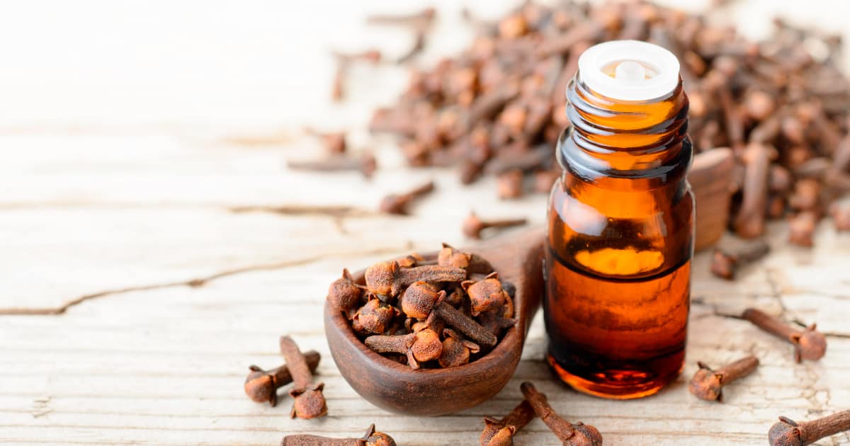 Manfaat Clove Oil Pada PureKids Decongestant Oil