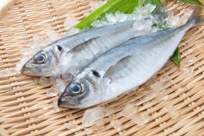 7 Jenis Ikan Ini Baik untuk MPASI