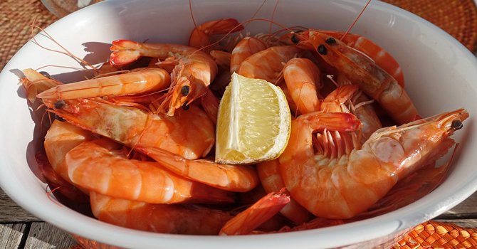 8 Seafood yang Aman untuk Anak