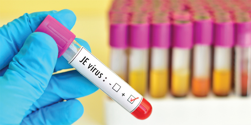 Vaksin Japanese Encephalitis Untuk Anak